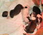 Bild1A