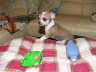 Bilder 083