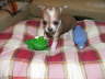 Bilder 085