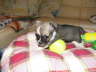 Bilder 096