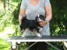 Hunde 117
