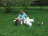 Im Garten 5