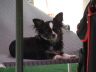 Unsere Benita
